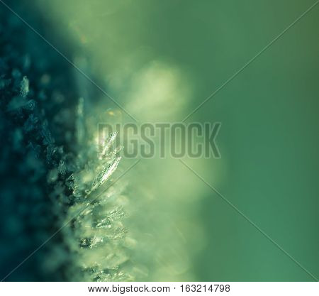 Snow Crystals In Beautiful Macro