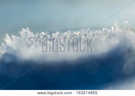 Snow Crystals In Beautiful Macro