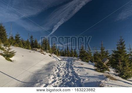Sunrise In Jeseniky Mountains In Christmas Time Near Kralicky Sneznik Hill