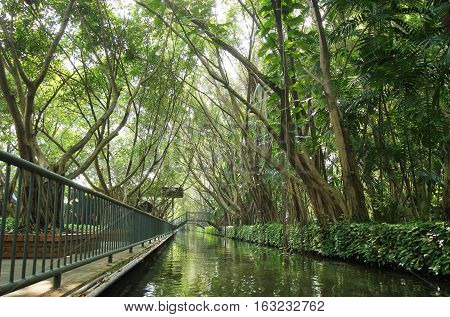 Thailand Park, ilon bridge and green trees