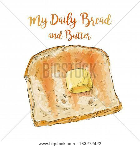 Toasted whole Sliced grain bread with a pat of butter isolated on white background top view vector illustration isolated