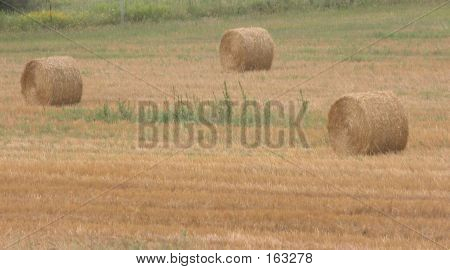 干し草の bails