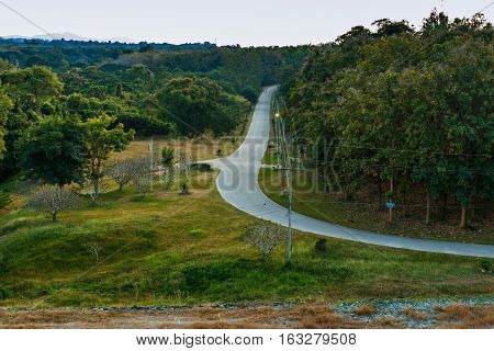Landscape Holiday countryside road with tree green wayside
