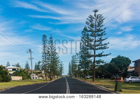 A residential road surrounded by trees in Yamba, Australia