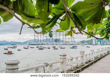 Fishing Boats In Marina At Nha Trang