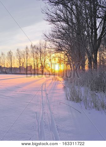 Skiing tracks on frozen urban lake. Beautiful winter sunset.