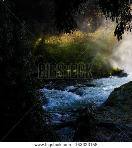 The McKenzie River at the base of Sahalie Falls in Western Oregon seen framed by tree branches on a spring day.