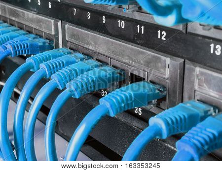 Server rack with blue internet patch cord cables connected to patch panel in server room