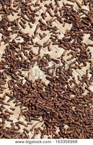 Drying Flower Buds From Clove Spice