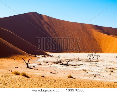 Dead camel thorn trees in Deadvlei dry pan with cracked soil in the middle of Namib Desert red dunes, near Sossusvlei, Namib-Naukluft National Park, Namibia, Africa