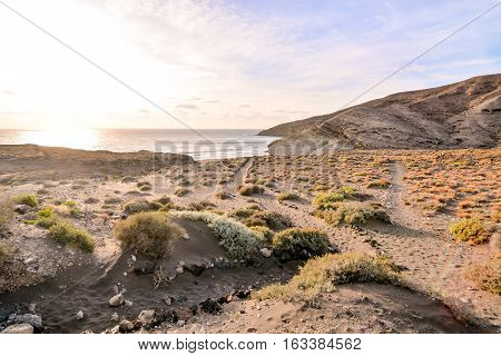 Ocean Coast's View