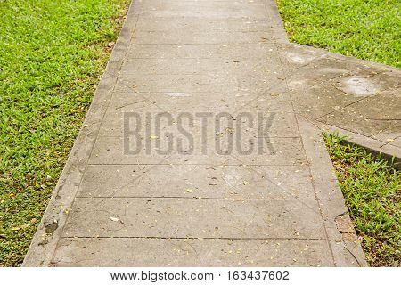 Junction of walking path or walkway or walkpath in garden with green grass.