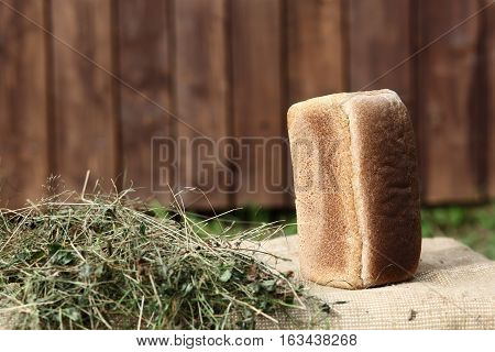 The one bread on woodern box in nature