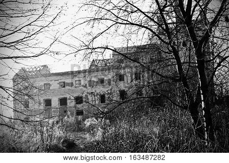 The old dilapidated brewery. Unmaintained building in an overgrown park.
