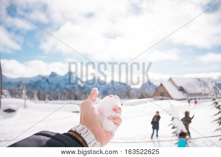 The Snowball in Mt.Rainer National Park/The Snowball