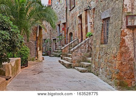Pitigliano, Grosseto, Tuscany, Italy: picturesque old alley with ancient houses and plants in the medieval town