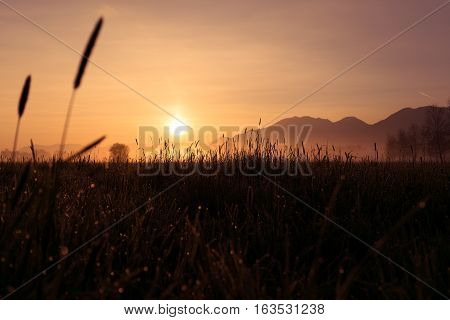 lake cabin boathouse fishing kochelsee bavaria mountains