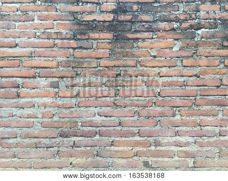 Texture of the background on my home.