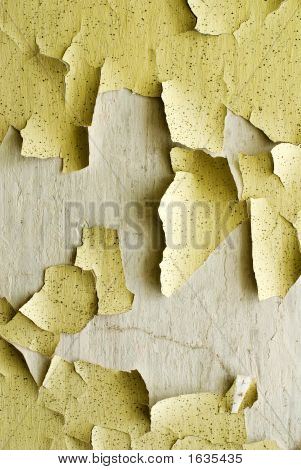 Fondo una muralla