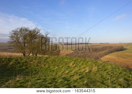 Winter Landscape With Tumulus