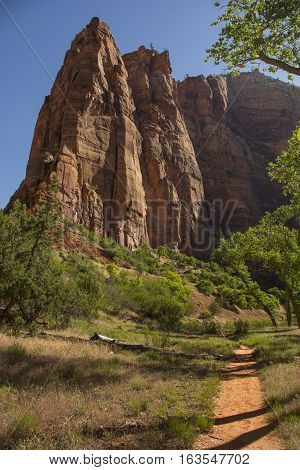 A hiking trail leads to the base of some steep rocky cliffs in Utah's Zion National Park.