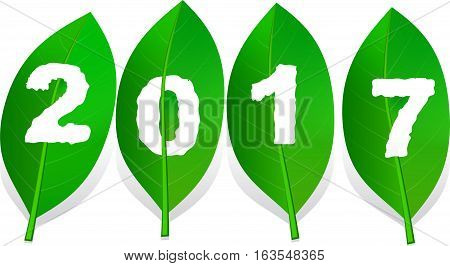 number 2017 worm-eaten green leaf, happy new year vector