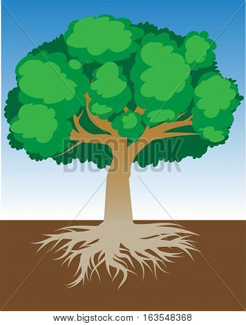 Conceptual tree with root - in blue sky, create by vector