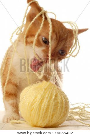 lustiges Bild von einem orangefarbenen und weißen Kätzchen, spuckte gelbes Garn