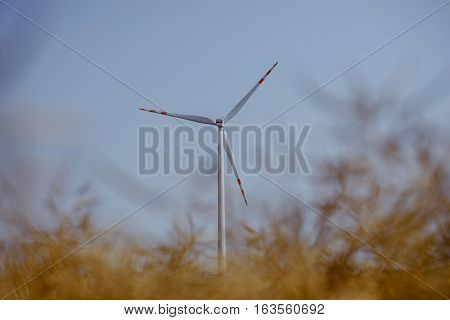 Windturbine At Sunny Day