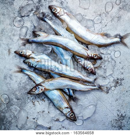 Fresh Catch Shishamo Fish Fully Eggs Flat Lay On Shabby Metal Background. Shishamo Fish Is Popular F