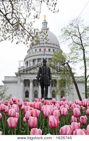 Hans Christian Heg statua w Capitol z tulipany