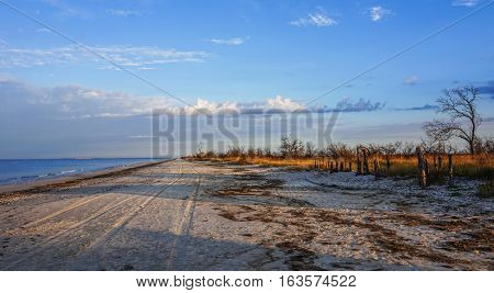 Sand, steppe grass and dried trees on seacoast. Coast Kinburn Spit. Ukraine