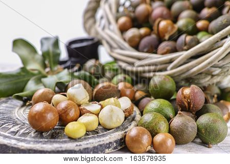 Macadamia nuts in shell harvest close up