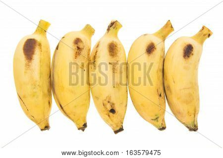 Five Yellow Bananas