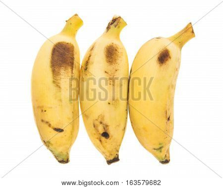 Three Yellow Bananas