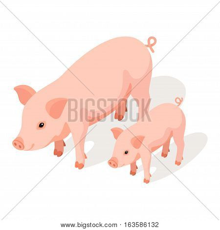 Isometric 3d vector illustration of small and large pig isolated on white background. Icon for web.