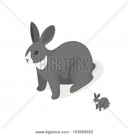 Isometric 3d vector illustration of grey rabbit. Front view. Icon for web. Isolated on white background.