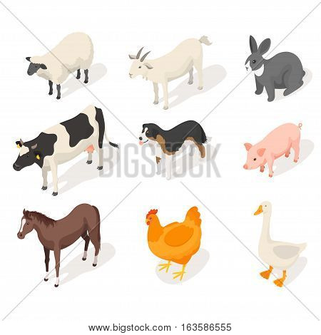 Isometric 3d vector set of farm animals. Front view. Icon for web. Isolated on white background.
