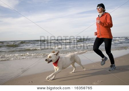 Labrador Retriver ile çalışan