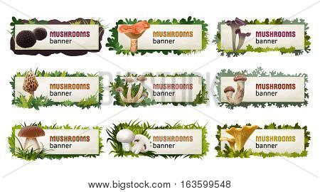 Set of delicious mushroom vector banners, headers.