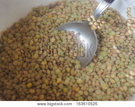Lentils Pulse Grain Legume (lens Culinaris) Legumes Vegetables