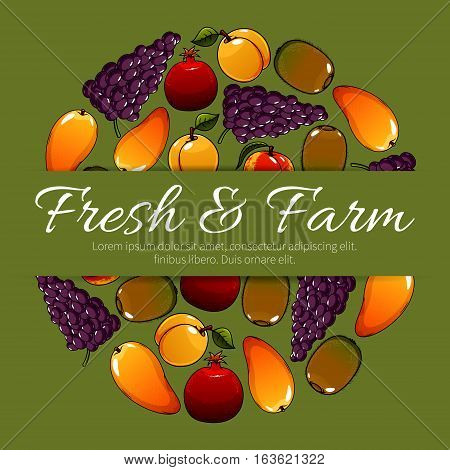 Fresh farm fruits. Vector fruit poster with ripe fruit harvest of juicy tropical mango and exotic kiwi, red grape with pomegranate, sweet apricot or peach. Delicious and healthy organic fruits