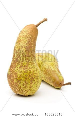 Two whole uncut 