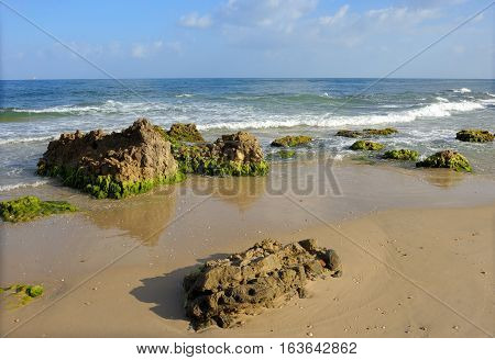Mediterranean coast in southern Israel near the city of Ashkelon