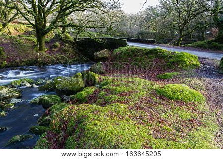Stream And Old Bridge, Dartmoor.