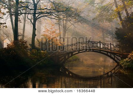 Ponte vecchio nel parco autunno nebbioso