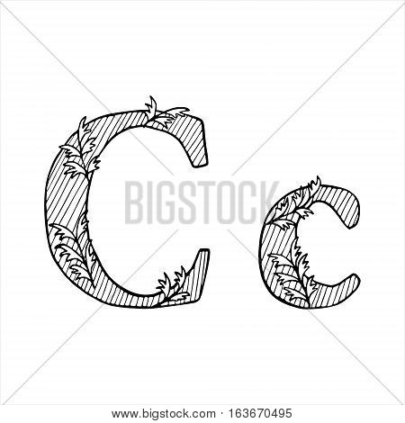 Doodle Flourish graphic with ornate pattern. Design Isolated on white.