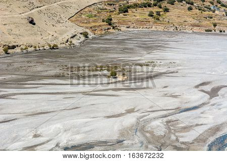 Lonely tree growing on dried river stream. Desertification and lack of water.