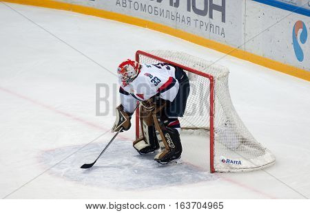 Goaltender Barry Brust (33)