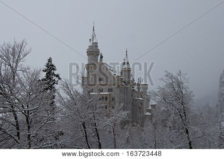 Fussen Germany - December 26 2014: view of Neuschwanstein Castle in winter time between trees on December 26 2014 near Fussen Germany.